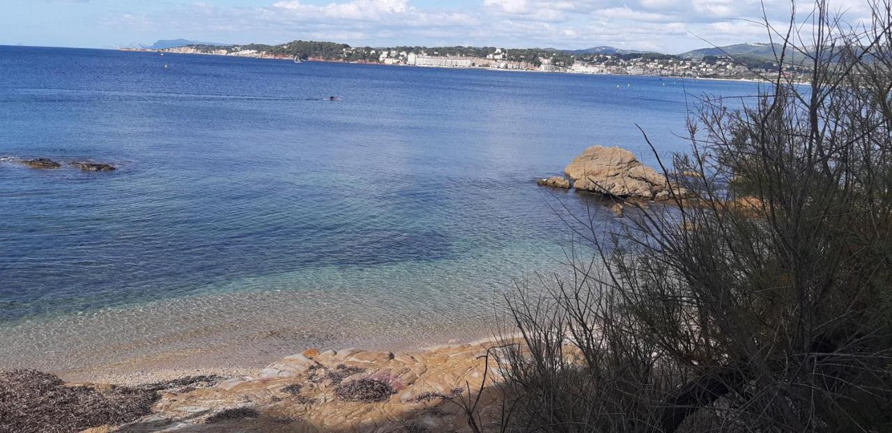 Suite & Spa Just Dream 28 Six-Fours-les-Plages Eksteriør bilde